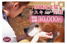 ＜保健所犬猫レスキュー【返礼品なしのご寄附】＞寄付金額30,000円※お礼状をお送りいたします。【 動物愛護 保護 犬 猫 いぬ ねこ イヌ ネコ 動物 どうぶつ ペット 応援 支援 寄付 使い道 いのちのはうす保護家 】