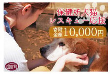 ＜保健所犬猫レスキュー【返礼品なしのご寄附】＞寄付金額10,000円※お礼状をお送りいたします。【 動物愛護 保護 犬 猫 いぬ ねこ イヌ ネコ 動物 どうぶつ ペット 応援 支援 寄付 使い道 寄附のみ いのちのはうす保護家 】