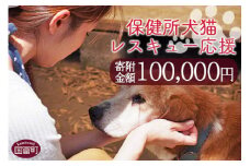 ＜保健所犬猫レスキュー【返礼品なしのご寄附】＞寄付金額100,000円※お礼状をお送りいたします。【 動物愛護 保護 犬 猫 いぬ ねこ イヌ ネコ 動物 どうぶつ ペット 応援 支援 寄付 使い道 いのちのはうす保護家 】