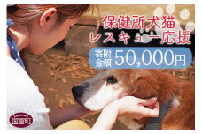 ＜保健所犬猫レスキュー【返礼品なしのご寄附】＞寄付金額50,000円※お礼状をお送りいたします。【 動物愛護 保護 犬 猫 いぬ ねこ イヌ ネコ 動物 どうぶつ ペット 応援 支援 寄付 使い道 いのちのはうす保護家 】