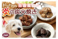 ＜愛犬用 ドットわん 炎の炭火焼き 牛豚鶏セット＞翌月末迄に順次出荷