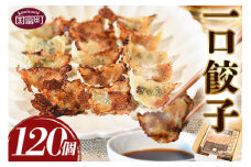 ＜一口餃子 120個入り＞翌月末迄に順次出荷【 餃子 ぎょうざ ギョウザ ギョーザ 宮崎餃子 宮崎 一口餃子 大明神 鶏肉 豚肉 野菜 居酒屋 おつまみ 晩御飯 お供 ビール 焼酎 ハイボール だれやめ 弁当 冷凍 白菜 ギフト 贈答用 】