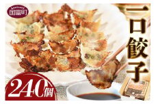 ＜一口餃子 240個入り＞翌月末迄に順次出荷【 餃子 ぎょうざ ギョウザ ギョーザ 宮崎餃子 宮崎 一口餃子 大明神 鶏肉 豚肉 野菜 居酒屋 おつまみ 晩御飯 お供 ビール 焼酎 ハイボール だれやめ 弁当 冷凍 白菜 ギフト 贈答用 】