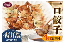 ＜4回定期便 一口餃子 120個入り（3か月に1回発送）＞翌月末迄に順次出荷【 餃子 ぎょうざ ギョウザ ギョーザ 宮崎餃子 宮崎 一口餃子 大明神 鶏肉 豚肉 野菜 居酒屋 おつまみ 晩御飯 お供 ビール 焼酎 ハイボール だれやめ 弁当 冷凍 白菜 定期便 】