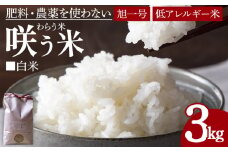 ★令和6年産★＜「咲う米」（わらう米・自家採取旭一号）白米 3kg＞ 【 米 コメ お米 精米 自然栽培 低糖質米 ふっくら 朝ごはん 昼食 おにぎり ご飯 飯 2024年 ランチ 主食 】翌月末迄に順次出荷