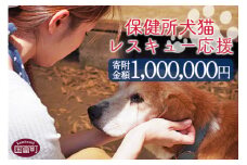 ＜保健所犬猫レスキュー【返礼品なしのご寄附】＞寄付金額1,000,000円※お礼状をお送りいたします。【 動物愛護 保護 犬 猫 いぬ ねこ イヌ ネコ 動物 どうぶつ ペット 応援 支援 寄付 使い道 いのちのはうす保護家 】