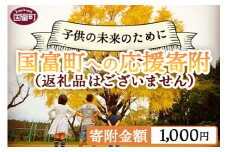 ＜寄附のみの応援受付(返礼品はございません)＞寄附額1,000円【 応援 寄附 未来 地域支援 おすすめ 1000円 国富町 宮崎県国富町 】