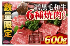＜宮崎県産黒毛和牛(経産)6種焼肉セット 600g＞入金確認後、1か月程度で出荷 【 国産 黒毛和牛 牛肉 牛 精肉 焼き肉 焼肉 サーロイン リブロース 肩ロース ウデ モモ バラ 贈答品 ギフト 贈り物 グルメ ミヤチク 宮崎県 国富町 】