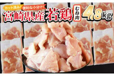 ＜宮崎県産若鶏切身 むね肉 4.8kg（300g×16袋）＞ 入金確認後、翌々月までに順次出荷【 からあげ 唐揚げ カレー シチュー BBQ 煮物 チキン南蛮 小分け おかず おつまみ お弁当 惣菜 時短 炒め物 簡単料理 】