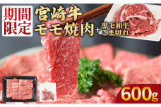 ＜宮崎牛モモ焼肉500g ＋ 宮崎県産黒毛和牛こま切れ100g＞入金確認後、翌々月までに発送【 国産牛 肉 牛肉 精肉 モモ もも 焼肉 焼き肉 ヤキニク 牛こま こま BBQ パーティー お取り寄せグルメ セット 】
