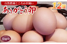 ＜自然農園「こころ」の平飼い『ありがとう卵』12個（6個×2パック）＞ 3か月以内に順次出荷【 卵 たまご タマゴ　生卵 ゆでたまご ゆで卵 卵焼き 玉子焼き オムレツ 親子丼 たまごかけご飯 たまごかけごはん 卵かけご飯  有精卵 平飼い】