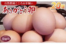 ＜自然農園「こころ」の平飼い『ありがとう卵』20個（10個×2パック）＞ 3か月以内に順次出荷【 卵 たまご タマゴ　生卵 ゆでたまご ゆで卵 卵焼き 玉子焼き オムレツ 親子丼 たまごかけご飯 たまごかけごはん 卵かけご飯  有精卵 平飼い】