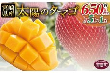 数量限定【2026年発送】＜宮崎県産 太陽のタマゴ A等級 A5Lサイズ×1玉（約650g以上）＞2026年4月上旬～6月末迄に順次出荷【 太陽のタマゴ 完熟マンゴー 完熟 マンゴー フルーツ トロピカルフルーツ 果物 くだもの おいしい 美味しい 甘い あまい JAみやざき 国富町 宮崎県】