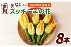 ★予約受付★＜あなたにズッキーニの花 8個＞2025年10月から順次出荷【 野菜 青果 国産 料理 アレンジ 天ぷら 】
