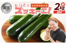 ★予約受付★＜野菜ソムリエサミット銀賞受賞！ あなたにズッキーニ約2kg（10本）＞2025年10月から順次出荷【 野菜 青果 国産 生食 輪切り ソテー サラダ 天ぷら ラタトゥイユ 】