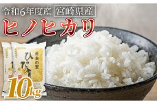 ＜宮崎県産米 ヒノヒカリ　10kg＞翌月末までに順次出荷【 コメ 米 お米 白米 ご飯 飯 炊き立て こめ ひのひかり 宮崎県 県産 粒 お茶碗 炊き込みご飯 おにぎり 主食 】
