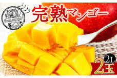 期間限定【先行予約　2026年発送】 ＜宮崎県産 完熟マンゴー 2L×2個＞2026年5月初旬～7月末迄に順次出荷【選べる フルーツ 果物 トロピカル 甘い ジューシー 果汁 とろける 芳醇 香り 贅沢 ぜいたく プチご褒美 ごほうび 】
