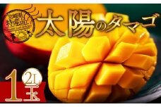 期間限定 【先行予約　2026年発送】＜宮崎県産 太陽のタマゴ 2L×1個＞2026年5月初旬～7月末迄に順次出荷【選べる 完熟マンゴー 糖度15度 内容量 数量 サイズ 大きさ 濃厚 フルーツ 果物 トロピカル 甘い ジューシー 果汁 とろける 芳醇 香り 贅沢 ぜいたく プチご褒美 ごほうび 】
