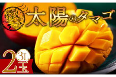 期間限定 【先行予約　2026年発送】＜宮崎県産 太陽のタマゴ 3L×2個＞2026年5月初旬～7月末迄に順次出荷【選べる 完熟マンゴー 糖度15度 内容量 数量 サイズ 大きさ 濃厚 フルーツ 果物 トロピカル 甘い ジューシー 果汁 とろける 芳醇 香り 贅沢 ぜいたく プチご褒美 ごほうび 】
