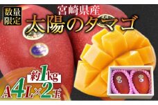 数量限定【2026年発送】＜宮崎県産 太陽のタマゴ A等級 4Lサイズ×2玉（合計約1kg）＞2026年4月上旬～6月末迄に順次出荷【 果物 青果 フルーツ 太陽のタマゴ 太陽のたまご 完熟マンゴー マンゴ― 期間限定 先行予約 ギフト 贈答用 送料無料 】