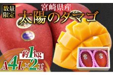 数量限定【2026年発送】＜宮崎県産 太陽のタマゴ A等級 4Lサイズ×2玉（合計約1kg）＞2026年4月上旬～6月末迄に順次出荷【 果物 青果 フルーツ 太陽のタマゴ 太陽のたまご 完熟マンゴー マンゴ― 期間限定 先行予約 ギフト 贈答用 送料無料 】