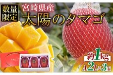 数量限定【2026年発送】＜宮崎県産 太陽のタマゴ A等級 2Lサイズ×3玉（合計約1kg）＞2026年4月上旬～6月末迄に順次出荷【果物 青果 くだもの フルーツ 太陽のタマゴ 太陽のたまご 完熟マンゴー ジューシー 果汁 かんじゅく 期間限定 先行予約 ギフト 贈答用 贈答品 贈り物  JAみやざき】