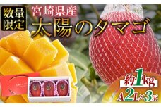 数量限定【2026年発送】＜宮崎県産 太陽のタマゴ A等級 2Lサイズ×3玉（合計約1kg）＞2026年4月上旬～6月末迄に順次出荷【果物 青果 くだもの フルーツ 太陽のタマゴ 太陽のたまご 完熟マンゴー ジューシー 果汁 かんじゅく 期間限定 先行予約 ギフト 贈答用 贈答品 贈り物  JAみやざき】