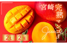 【先行予約/数量限定】完熟マンゴー ２L×２玉（パック） 希少 宮崎県産 綾町産 高級 マンゴー 国産 南国 フルーツ 濃厚 マンゴー 果物 産地直送 期間限定 送料無料 お中元 ふるさと納税