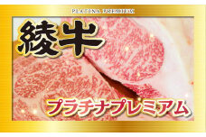 A4A5等級 黒毛和牛 綾牛プラチナプレミアム 詰め合わせ ステーキ 焼肉 小間切れ バラ ロース もも