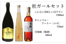 杜ガールセット　ワイン　白　ロゼ　リキュール