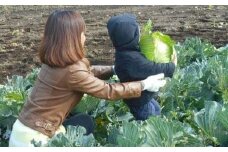 無農薬農家の農業体験　ランチ付き