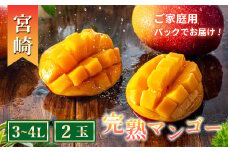 【先行予約/数量限定】完熟マンゴー  ３L～４L×２玉（パック）【濃厚 宮崎 高級 果物 フルーツ 贈答 ギフト 甘い 先行受付 送料無料】