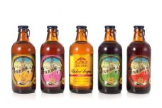綾の地ビール 10本 飲み比べ セット ケルシュ アルト 黒 雲海ラガー ストロング お酒 ビール 地ビール クラフトビール