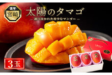 【先行予約/数量限定】 完熟マンゴー『太陽のタマゴ 』3玉 約1kg 宮崎県産 糖度 濃厚 甘い 果物 最高級フルーツ 贈答用 ギフト プレゼント 産地直送 期間限定 冷蔵 送料無料 ふるさと納税 お中元 綾町