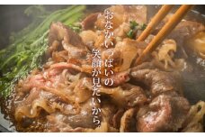 A4A5等級 黒毛和牛 綾牛鍋セット ロース すき焼き 小間切れ 調理
