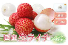 【先行予約/数量限定】希少 国産 綾生ライチ（化粧箱入り）  宮崎県 綾町産 ライチ 贈答 ギフト プレゼント 国産ライチ 果物 フルーツ 生ライチ 産地直送 期間限定 送料無料 お中元