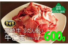宮崎牛A4等級牛小間切れ600g (300g×2パック)