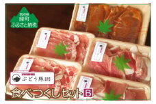 【希少】ブランド豚「綾ぶどう豚」やわらか味噌 食べつくし3種セットB 1.3kg 【宮崎県産 綾町産 ぶどう豚 味噌漬け 国産 豚肉 食べ比べ バラエティ 味噌漬け 豚ロース 豚スライス 豚もも 切り落とし肉 小分け ロース モモ 豚肉 食べ比べ 送料無料】