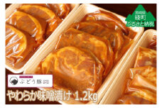 【希少】ブランド豚「綾ぶどう豚」やわらか味噌漬け 1.2kg (12枚入) 【宮崎県産 綾町産 ぶどう豚 味噌漬け 国産 豚肉 ロース味噌漬け ポーク 真空パック 小分け 送料無料】