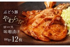 【希少】ブランド豚「綾ぶどう豚」やわらか味噌漬け 1.2kg (12枚入) 【宮崎県産 綾町産 ぶどう豚 味噌漬け 個包装 国産 豚肉 ロース みそ漬け ポーク 真空パック 小分け 送料無料】