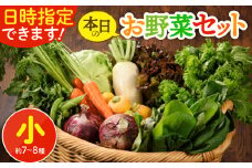 日時指定OK！本日のお野菜セット 〈小サイズ/約7-8種〉 産地直送 野菜詰め合わせ 有機栽培 野菜 野菜セット 野菜 【オーガニックのまち 宮崎県綾町】
