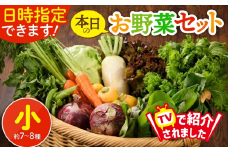 日時指定OK！本日のお野菜セット 〈小サイズ/約7-8種〉 産地直送 野菜詰め合わせ 有機栽培 野菜 野菜セット 野菜 【オーガニックのまち 宮崎県綾町】