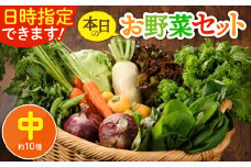 日時指定OK！本日のお野菜セット 〈中サイズ/約10種〉 2～3人用 新鮮 産地直送 野菜詰め合わせ 有機栽培 野菜 果物 野菜セット 野菜定期便 送料無料 【オーガニックのまち 宮崎県綾町】
