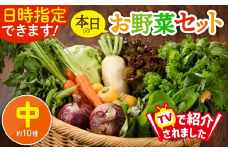 日時指定OK！本日のお野菜セット 〈中サイズ/約10種〉 2～3人用 新鮮 産地直送 野菜詰め合わせ 有機栽培 野菜 果物 野菜セット 野菜定期便 送料無料 【オーガニックのまち 宮崎県綾町】