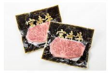 宮崎牛サーロインステーキ　400g（200g×2枚）