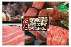 【定期便】宮崎牛豪華バラエティ6か月コース 4.6kg