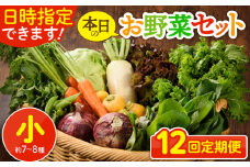 【12回定期便】日時指定OK！本日のお野菜セット 〈小サイズ/約7-8種〉1～2人用  新鮮 産地直送 野菜詰め合わせ 有機栽培 野菜 果物 野菜セット 野菜定期便 12回 12ヵ月 送料無料 【オーガニックのまち 宮崎県綾町】