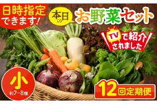 【12回定期便】日時指定OK！本日のお野菜セット 〈小サイズ/約7-8種〉1～2人用  新鮮 産地直送 野菜詰め合わせ 有機栽培 野菜 果物 野菜セット 野菜定期便 12回 12ヵ月 送料無料 【オーガニックのまち 宮崎県綾町】