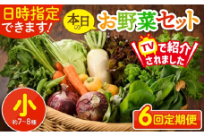 【6回定期便】日時指定OK！本日のお野菜セット 〈小サイズ/約7-8種〉 野菜詰め合わせ 有機栽培 野菜 定期便 果物 野菜セット 野菜定期便 6回 6ヵ月 野菜定期  産地直送