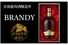綾ブランデー 720ml 40度 国産 100% ブランデー 蒸留酒 洋酒 贈答 ギフト プレゼント 雲海 雲海葡萄酒醸造所